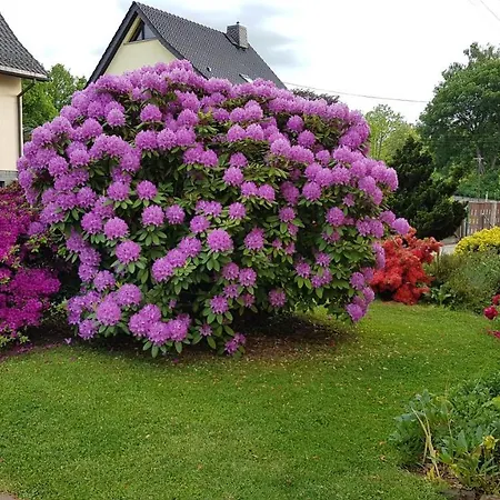 Апартаменты Haus Ingrid Vintage